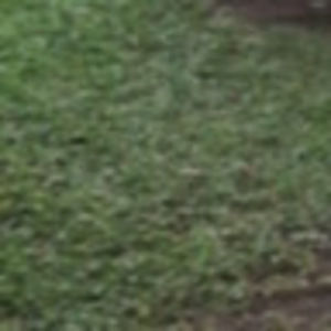 Meet your Posher, Arame